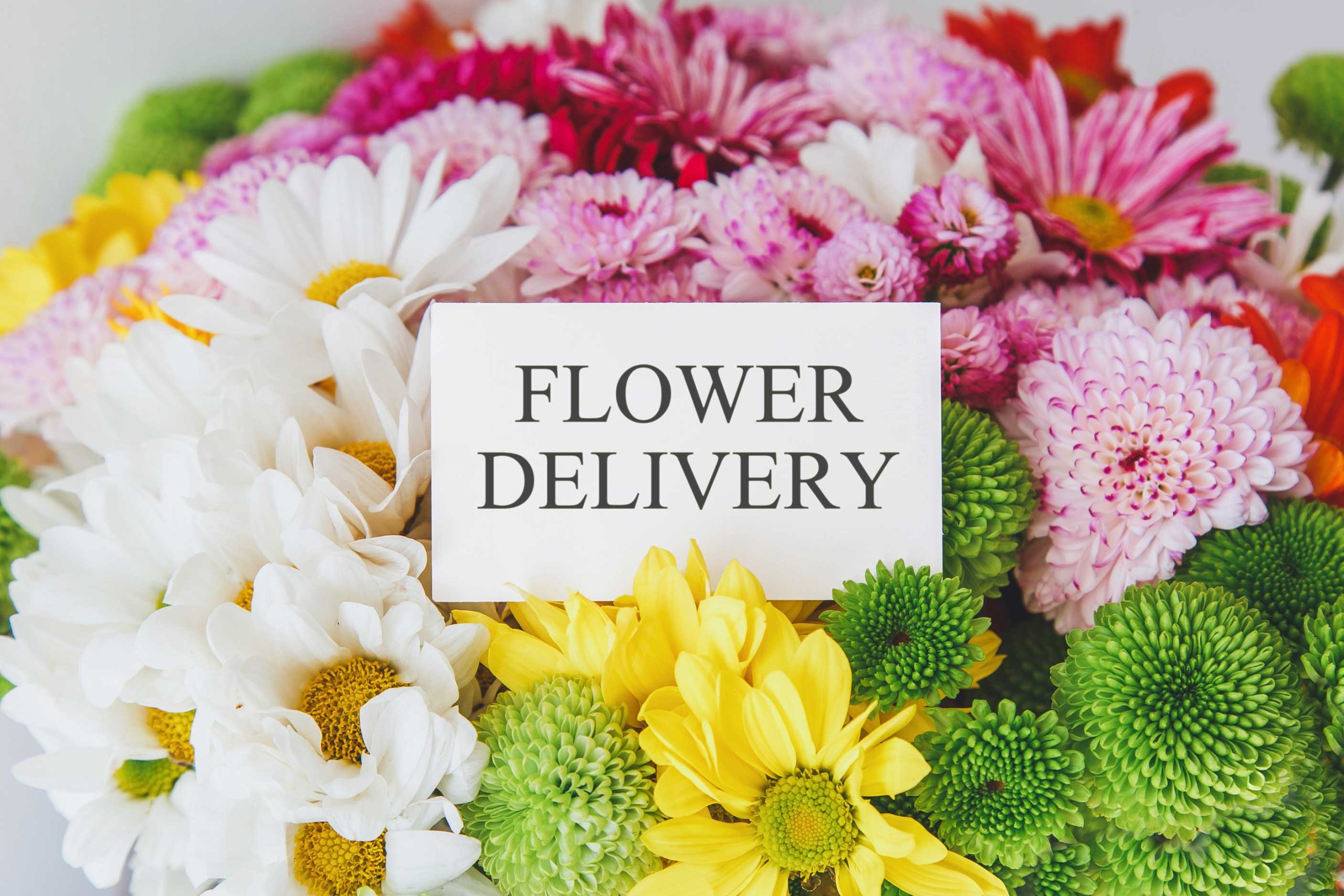 same-day-flower-delivery- Omaha